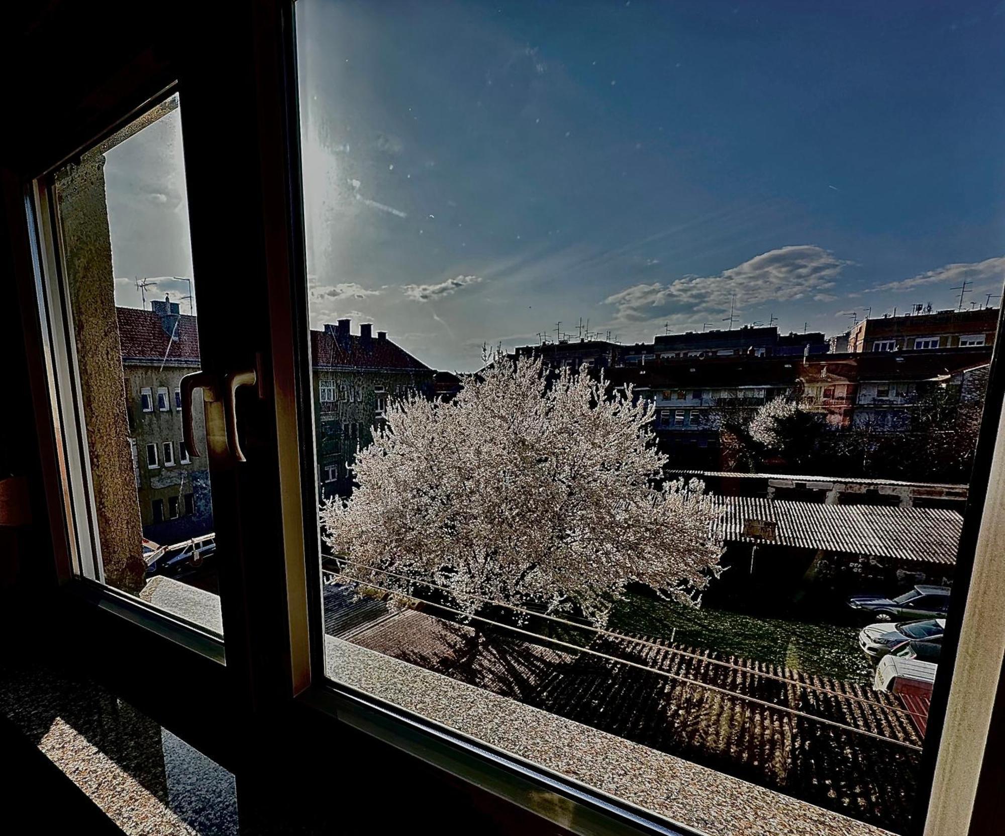 Apartman Pannonica Pin 0-24H Slavonski Brod Zewnętrze zdjęcie