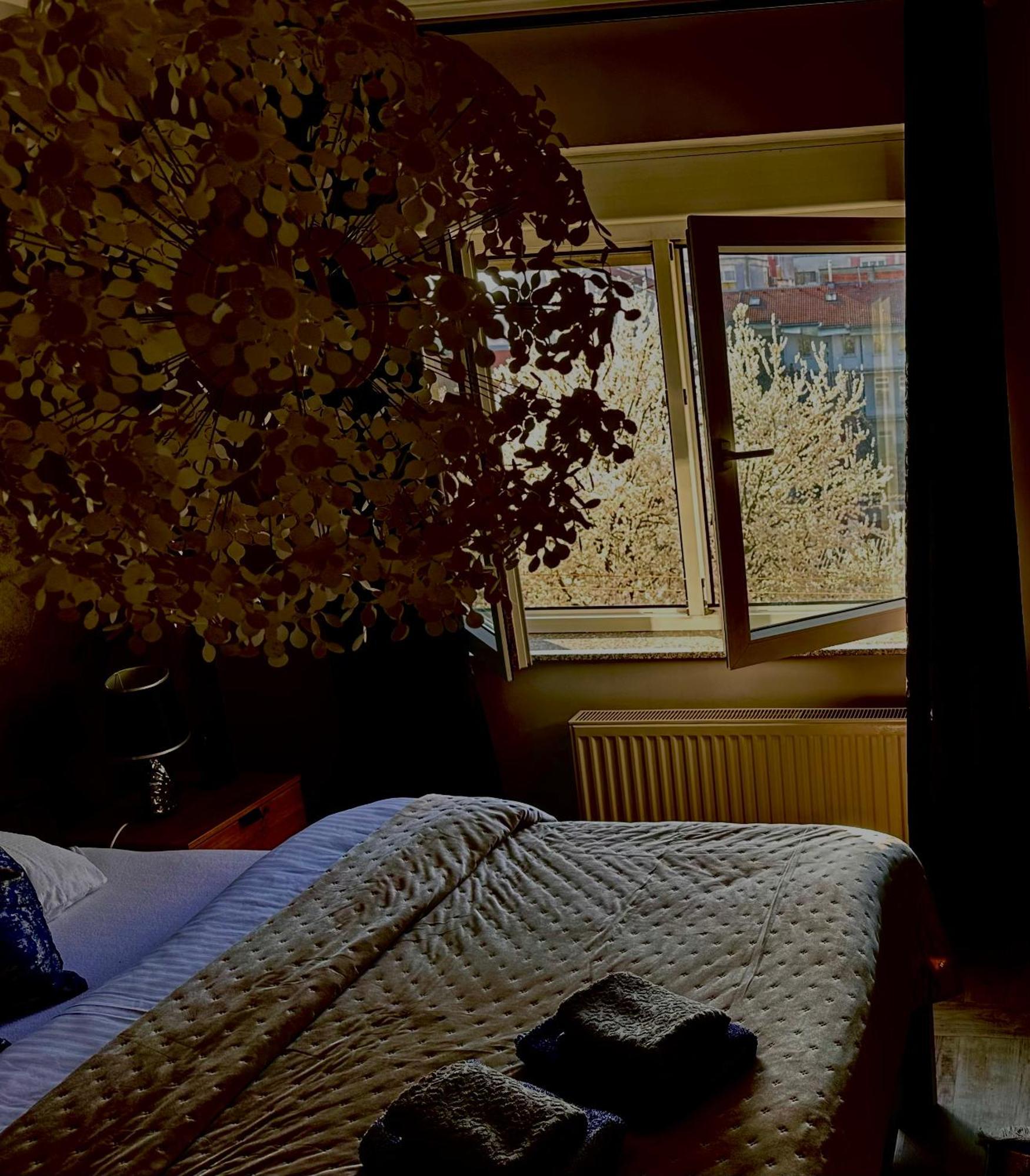 Apartman Pannonica Pin 0-24H Slavonski Brod Zewnętrze zdjęcie