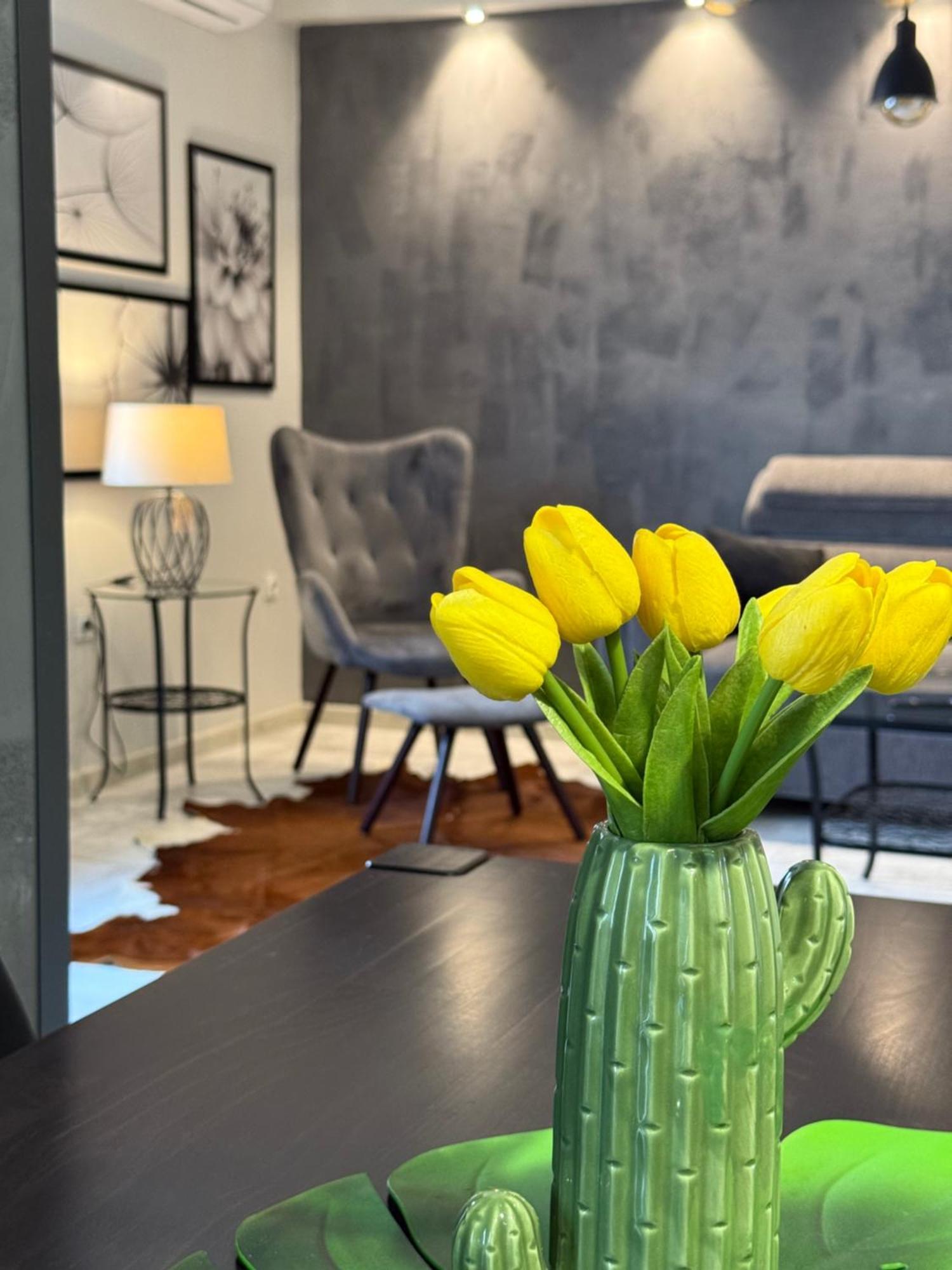 Apartman Pannonica Pin 0-24H Slavonski Brod Zewnętrze zdjęcie